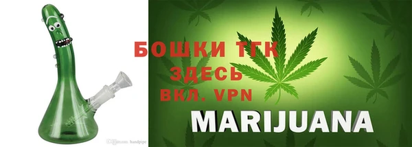 бошки Верхний Тагил